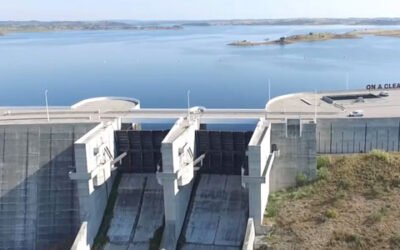 Nuevo Momento Expoliva: el agua como recurso básico en olivicultura