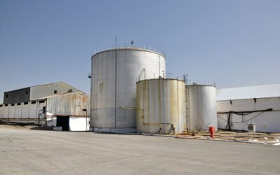La cooperativa oleícola El TEJAR éxito empresarial basado en un modelo de economía circular