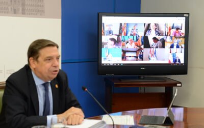 Luis Planas: Agricultores y ganaderos precisan de un acuerdo equilibrado