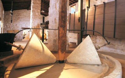 Elegidos los Premios AEMO a la Difusión de la Cultura del Oliva 2021