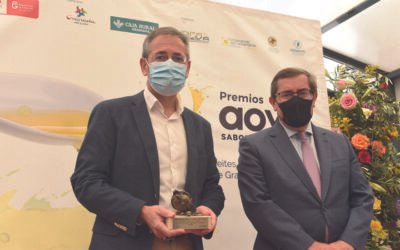 Entregados los premios a los mejores AOVEs granadinos