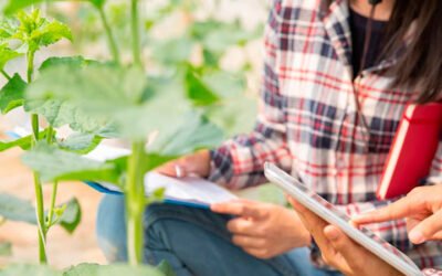 Programa Cultiva: formación práctica para jóvenes profesionales agrarios