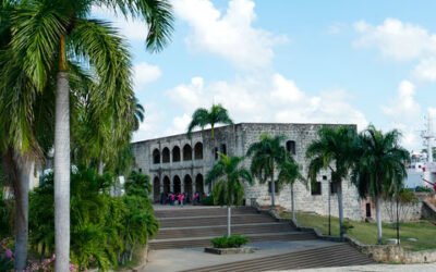 ¿Cómo percibe el aceite de oliva el consumidor de República Dominicana?