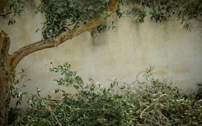 Andalucía convoca ayudas para la mejora energética de explotaciones agropecuarias