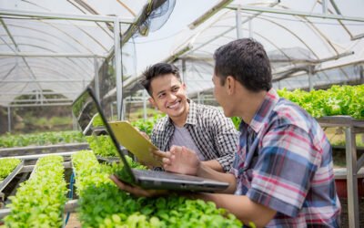 6 de cada 10 empresas agroalimentarias europeas no usan ninguna solución de inteligencia artificial