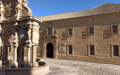 La importancia del análisis sensorial en el control de calidad de la almazara