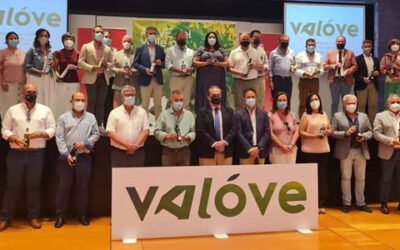 VALÓVE, la nueva marca de calidad de los AOVEs del Valle del Guadalquivir