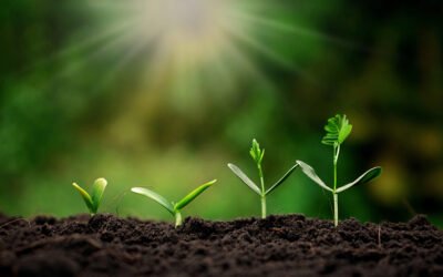 Modificación de  los reglamentos de los registros de variedades vegetales