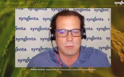 Syngenta analiza las estrategias de control de Pyricularia en arroz