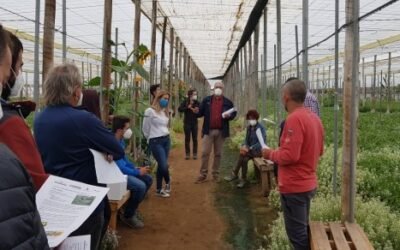 La Red Rural Nacional organiza una jornada informativa sobre el Programa “Cultiva” 2021