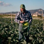 Luis Planas defiende la agricultura familiar como eje para emprender la transformación de los sistemas alimentarios