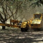 La sequía en Estados Unidos y la caída de la producción en España permite recuperar un poco la cotización de la almendra