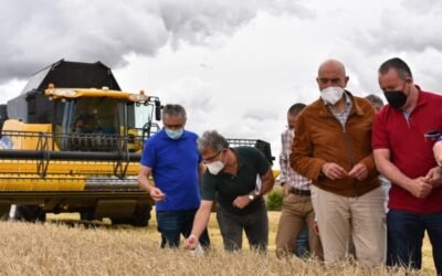El “granero” de España prevé una cosecha de 7 Mt de cereal de invierno en 2021/22