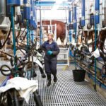 El sector ganadero lácteo inicia sus movilizaciones para evitar más cierres de granjas por el abuso de la distribución