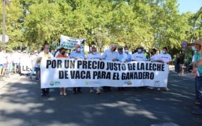 Un millar de ganaderos lácteos andaluces protestan por la complicada situación del sector