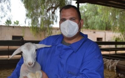 Garzón y el consumo de carne: Planas anuncia un apoyo al conjunto del sector ganadero