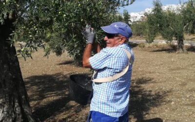 Agricultura fue en junio el único de los grandes sectores económicos donde aumentó el paro registrado