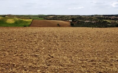 El BOE publica la Ley 2/2021 contra la despoblación de Castilla-La Mancha