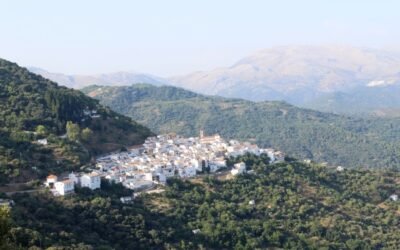 Rechazo en parte del sector agrario andaluz a la propuesta PEPAC del Ministerio de Agricultura