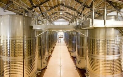 ¿Tendrán los envasadores más aceite de oliva en stock que las almazaras a final de la campaña 2020/21?