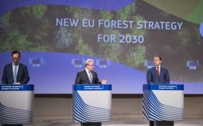 Bruselas propone una nueva Estrategia para proteger y restaurar los bosques comunitarios