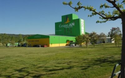 La mayoría de los piensos para el ganado registró descensos moderados de precio en junio