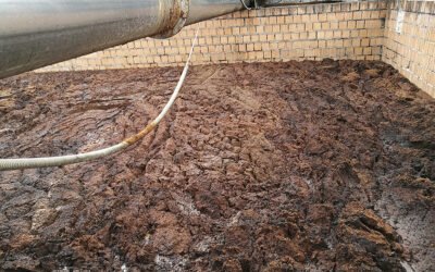 Transformación orgánica del alperujo: el papel de las bacterias activas