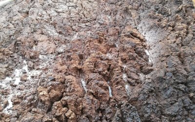 Mora busca alternativas al tratamiento del alperujo, que respeten el medioambiente y eviten molestias a los vecinos
