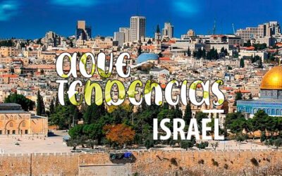 AOVETENDENCIAS Israel: el AOVE, un producto joven y vibrante