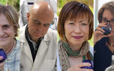 Nace ArigatOlivo, la asociación que pretende acercar la cultura del olivo al consumidor japonés