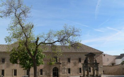 La innovación en la olivicultura internacional, tema central de la nueva acción formativa de la UNIA