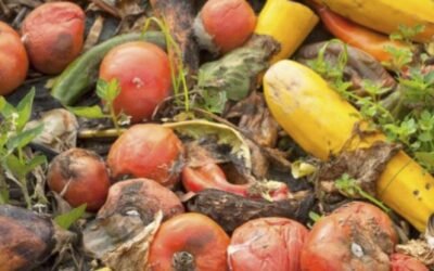 WWF alerta de que desperdiciamos ya el equivalente al 40% de todos los alimentos producidos