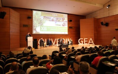 El XV Encuentro de Maestros y Responsables de Almazara de GEA se celebrará el 7 de octubre en Jaén
