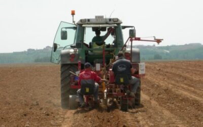Retos para la viabilidad futura del cultivo de la vid