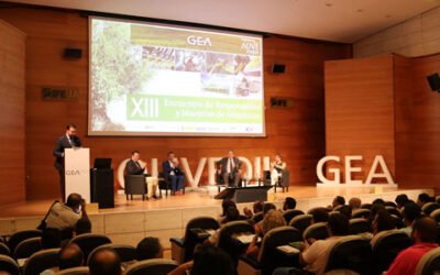 El XV Encuentro de Maestros y Responsables de Almazara de GEA se celebrará el 7 de octubre en Jaén