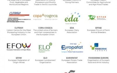 Revisión de la política de promoción agroalimentaria de la UE: 15 organizaciones europeas expresan sus demandas