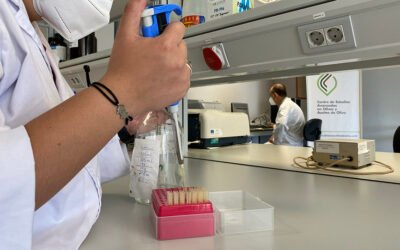 Creación del Instituto Universitario de Investigación en Olivar y Aceites de Oliva de la Universidad de Jaén