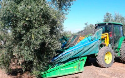 El CES elaborará un informe sobre maquinaria sostenible en el sector oleícola jiennense