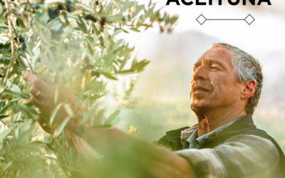 RT by @ManzanillaOlive: ¿Sabías que los huesos sirven para elaborar harina? Esta tiene un alto contenido de proteínas, fibra y Omega-3. 
¿Has probado este alimento alguna vez? ?
#aceitunas #gastronomia #gastronomiaespañola #alimentacion #aceitunasnegras #aceitunasverdes #comida