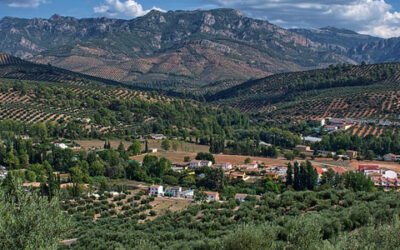 El sector agrario andaluz vigilará al detalle el desarrollo del acuerdo político de la PAC y su redacción final