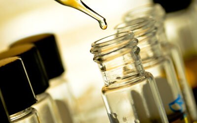 Proyecto Phenolis, afronta su segunda etapa