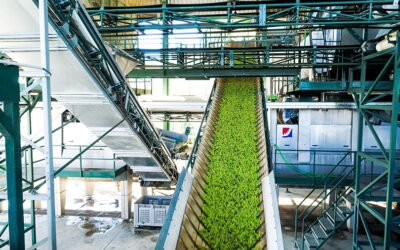 Molino del Genil, de Écija, se alza con el Premio AEMO a la Mejor Almazara de España 2021