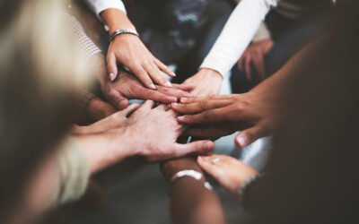 Proyecto BOND: herramientas para la cooperación y planificación en el sector primario