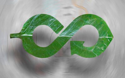 La Economía circular en el olivar