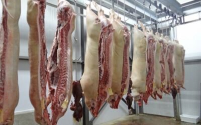 Unión de Uniones insta a buscar alternativas a China para las exportaciones de carne de cerdo