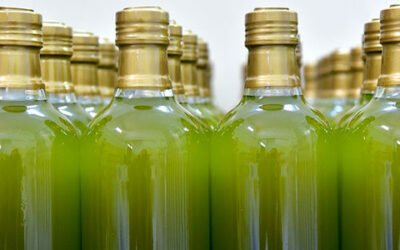 Continúa el buen ritmo de comercialización de aceite de oliva en junio