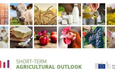 Bruselas confirma perspectivas positivas para el sector agrario de la UE a corto plazo