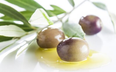 Jaén acogerá el 3RD International Yale Symposium on Olive Oil & Health, desde el 9 al 12 de diciembre