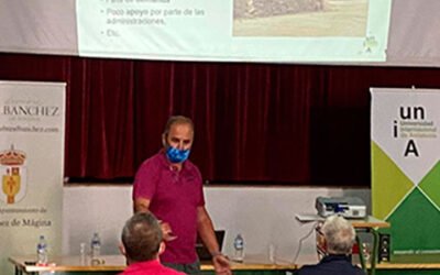 Nuevos cursos de la UNIA para el sector oleícola