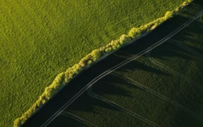 Cuantificar bien el uso del nitrógeno: clave para mejorar su gestión en la agricultura y reducir la contaminación